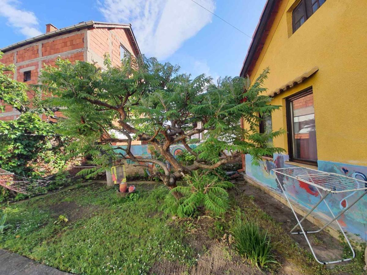 Garickina Kuca Pirot Exterior foto