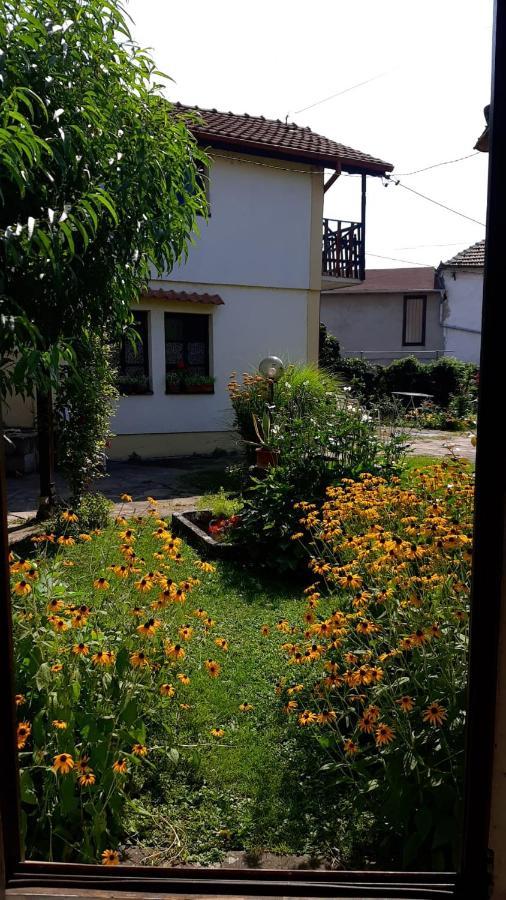 Garickina Kuca Pirot Exterior foto